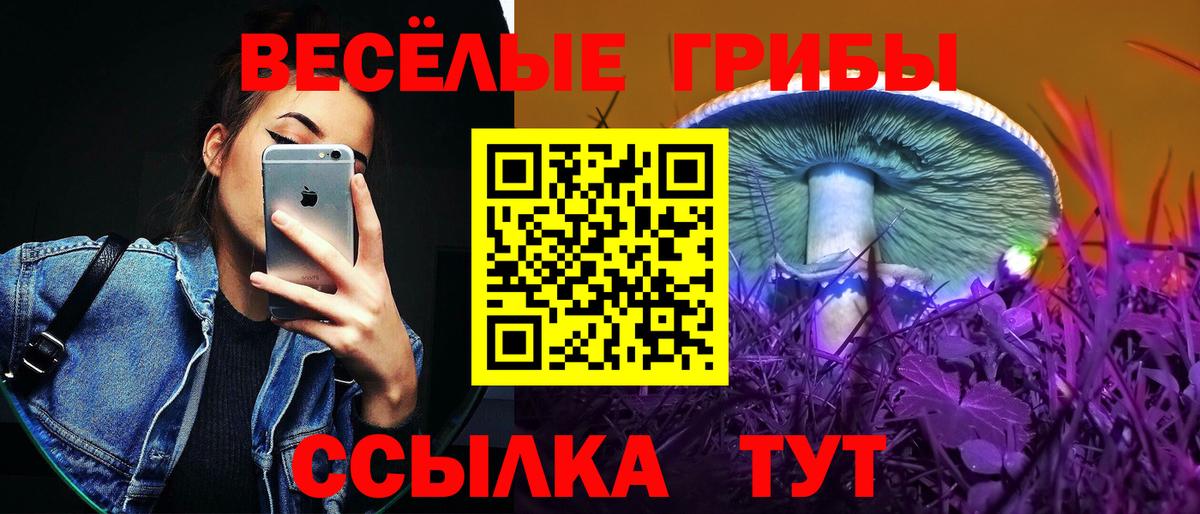 Бирск  Галлюциногенные грибы Psilocybine cubensis  Вход с VPN 